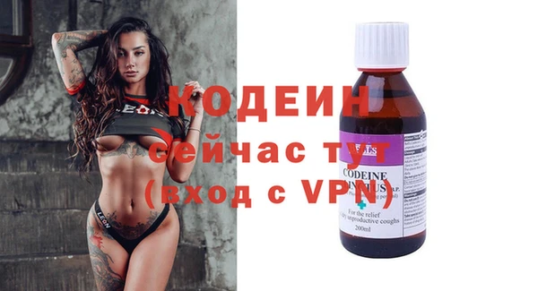индика Новокубанск