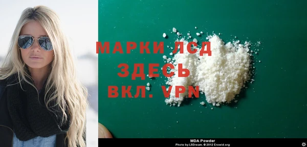 индика Новокубанск