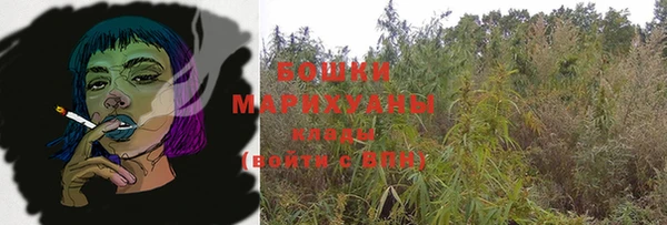 индика Новокубанск