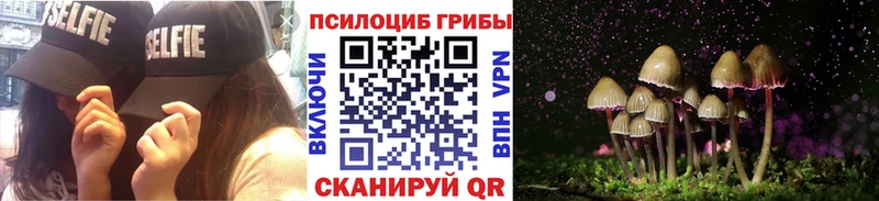 Псилоцибиновые грибы Psilocybe сколько стоит Туймазы