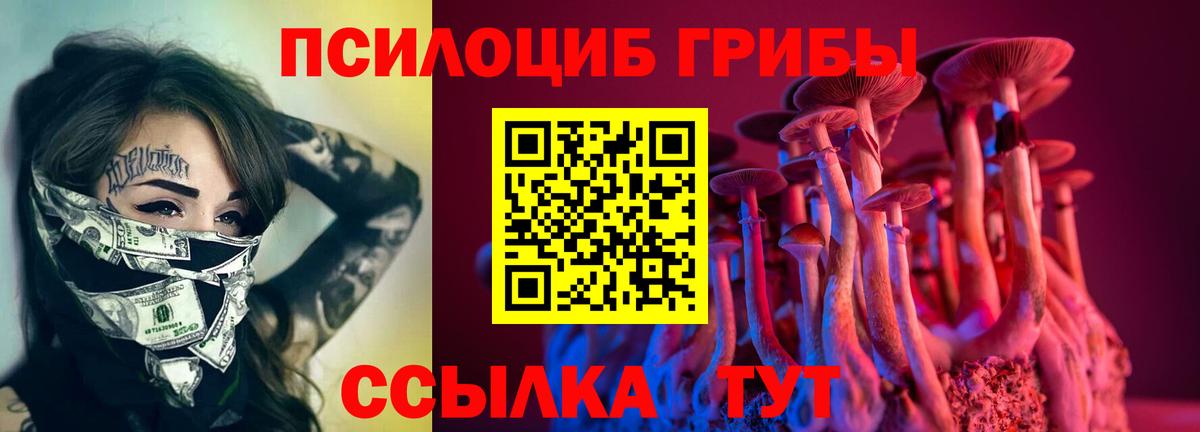 Галлюциногенные грибы GOLDEN TEACHER  Галлюциногенные грибы ЛСД  Туймазы  Вход с VPN 